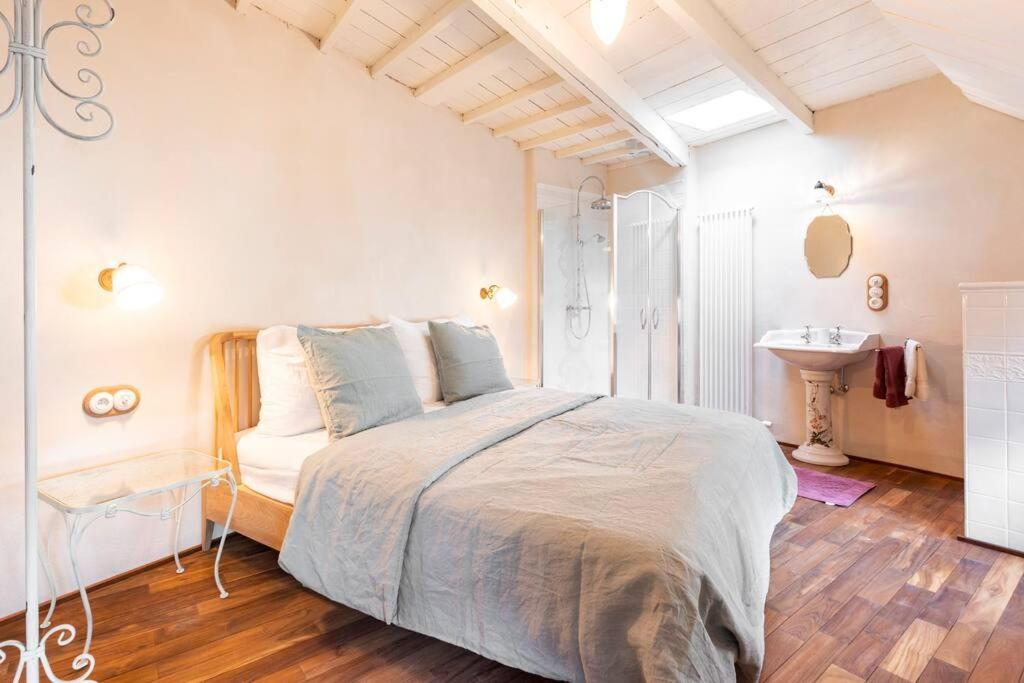 アントウェルペン Carriage House In Quiet Ecological Gardenヴィラ エクステリア 写真