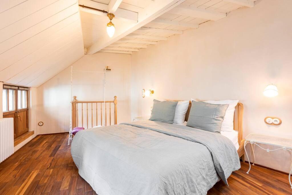 アントウェルペン Carriage House In Quiet Ecological Gardenヴィラ エクステリア 写真